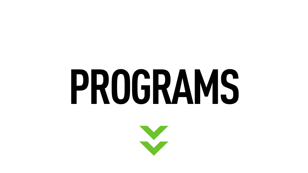 Programs of Georgian American University